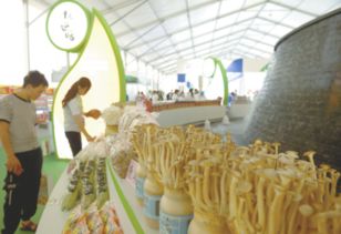 規(guī)模大、檔次高、印象深 打造邢臺農(nóng)產(chǎn)品新形象的“正餐服務(wù)”之道